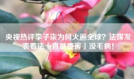 央视热评李子柒为何火遍全球？法媒发表看法「直戳要害」没毛病！