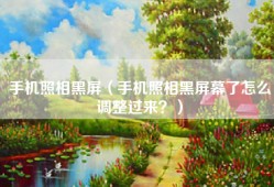 手机照相黑屏（手机照相黑屏幕了怎么调整过来？）