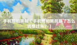 手机照相黑屏（手机照相黑屏幕了怎么调整过来？）