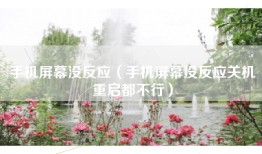 手机屏幕没反应（手机屏幕没反应关机重启都不行）