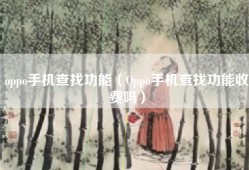 oppo手机查找功能（Oppo手机查找功能收费吗）