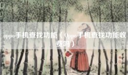 oppo手机查找功能（Oppo手机查找功能收费吗）