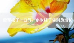 雷军松了一口气，小米终于告别负增长