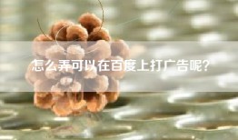 怎么弄可以在百度上打广告呢？