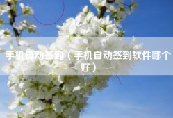 手机自动签到（手机自动签到软件哪个好）