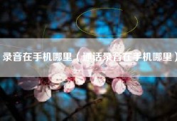 录音在手机哪里（通话录音在手机哪里）