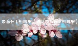 录音在手机哪里（通话录音在手机哪里）