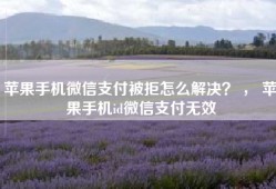 苹果手机微信支付被拒怎么解决？ ， 苹果手机id微信支付无效