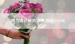 格力地产股价涨停 现报12.69元