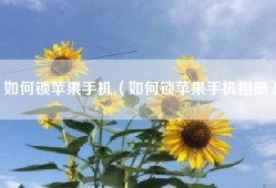 如何锁苹果手机（如何锁苹果手机相册）