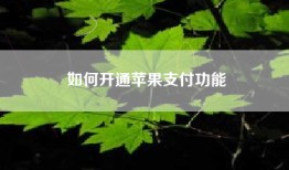 如何开通苹果支付功能