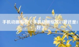 手机动画缩放（手机动画缩放0.5好还是1好）