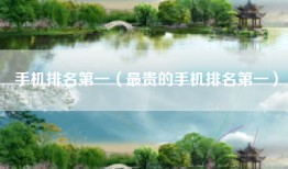 手机排名第一（最贵的手机排名第一）