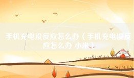 手机充电没反应怎么办（手机充电没反应怎么办 小米）