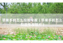 苹果手机怎么投屏电视（苹果手机怎么投屏电视图片）
