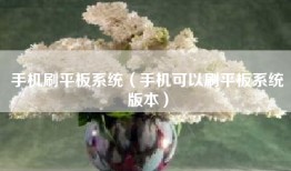 手机刷平板系统（手机可以刷平板系统版本）