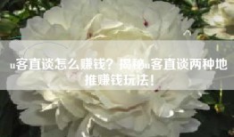 u客直谈怎么赚钱？揭秘u客直谈两种地推赚钱玩法！