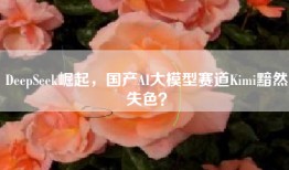 DeepSeek崛起，国产AI大模型赛道Kimi黯然失色？