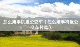 怎么用手机坐公交车（怎么用手机坐公交车付款）