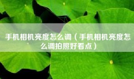 手机相机亮度怎么调（手机相机亮度怎么调拍照好看点）