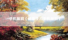 手机漏洞（健康使用手机漏洞）