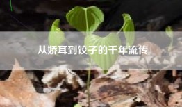 从娇耳到饺子的千年流传