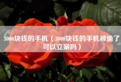 3000块钱的手机（3000块钱的手机被偷了可以立案吗）