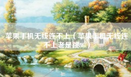 苹果手机无线连不上（苹果手机无线连不上老是跳5G）