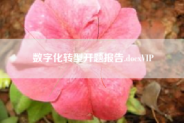 数字化转型开题报告.docxVIP